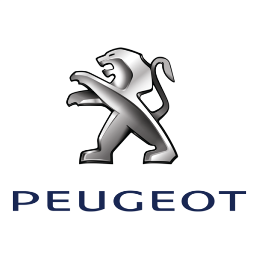 PEUGEOT - CİTROEN KİLİTLER
